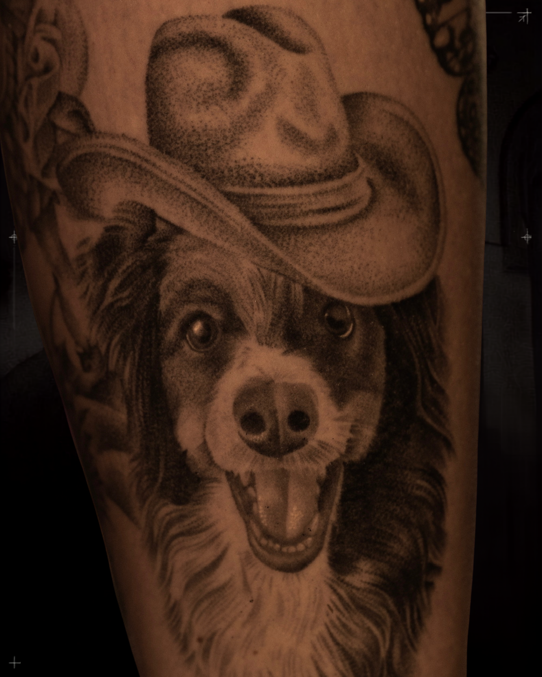 Black and grey realism tattoo by Jon LaFlore, Dallas TX — pet portrait of a border collie in a cowboy hat